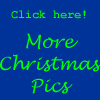 More Christmas Pictures available through this link!